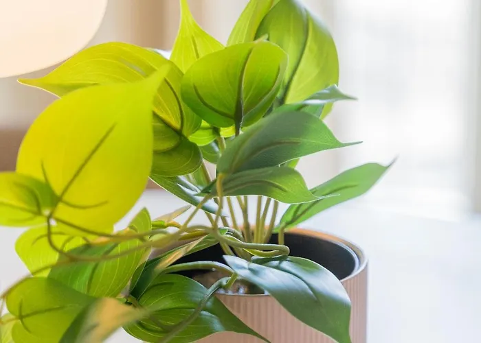 アパート Le Gabriel - ストラスブール