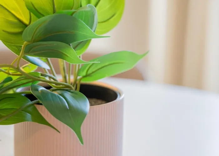 Le Gabriel - * ストラスブール