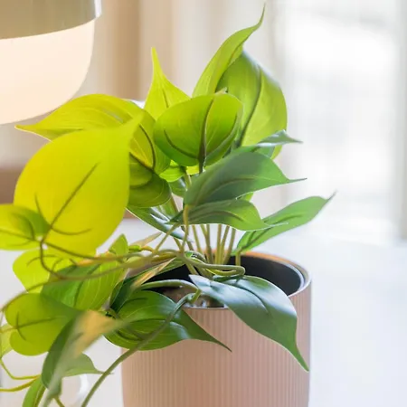 公寓 Le Gabriel - 斯特拉斯堡