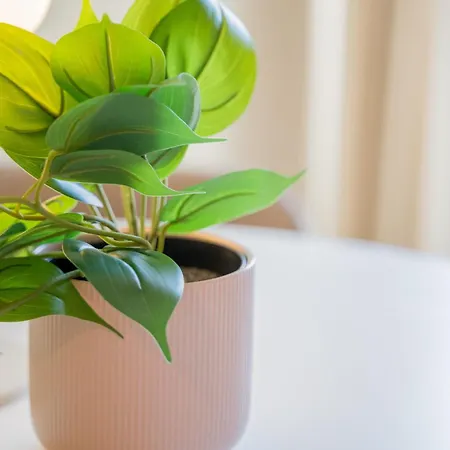 Le Gabriel - * 斯特拉斯堡